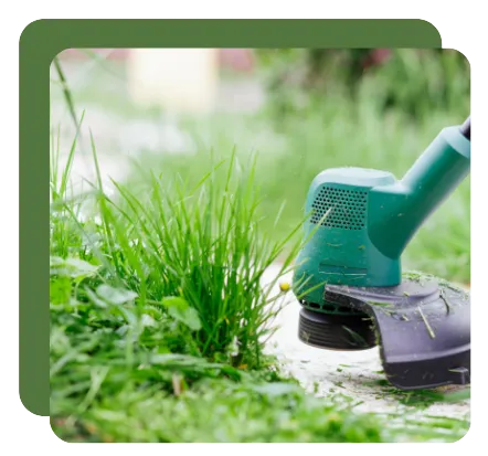 entretien jardin la glacerie